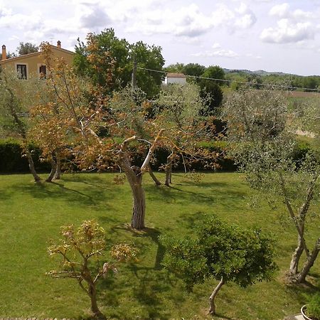 Il Punto Verde Sant'Antonio  Exterior foto