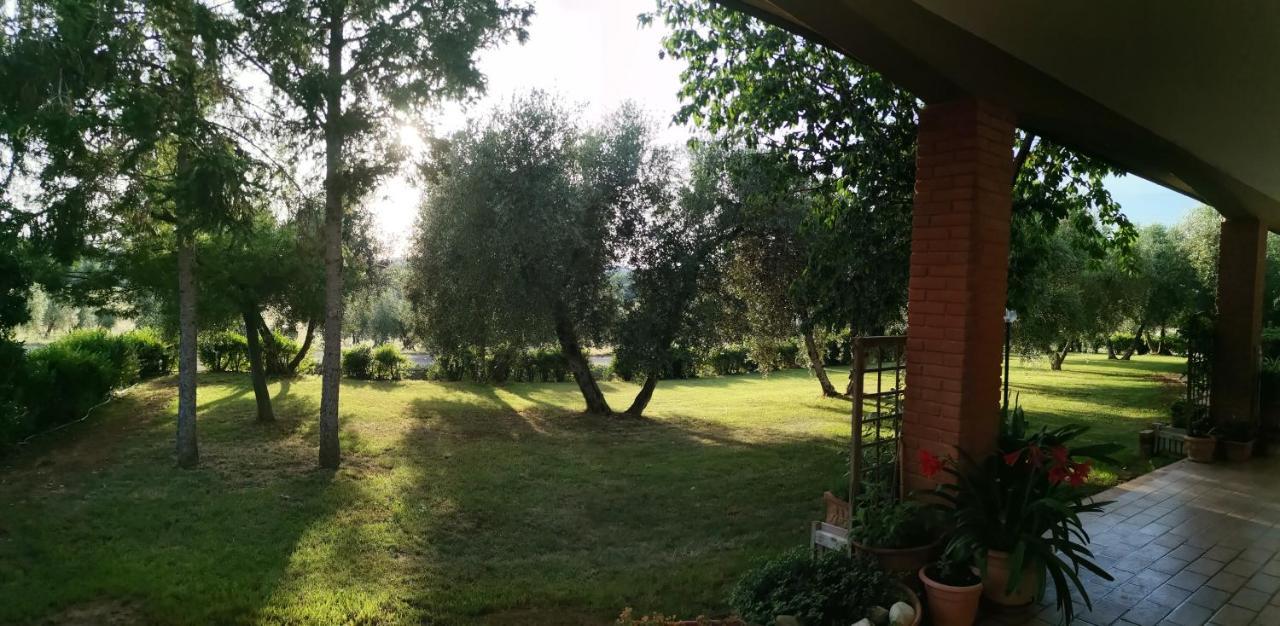 Il Punto Verde Sant'Antonio  Exterior foto