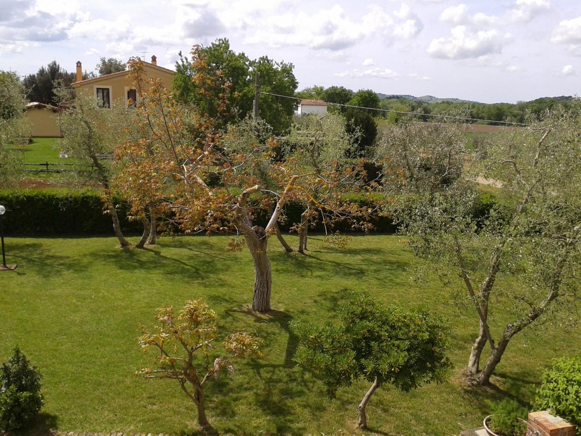 Il Punto Verde Sant'Antonio  Exterior foto