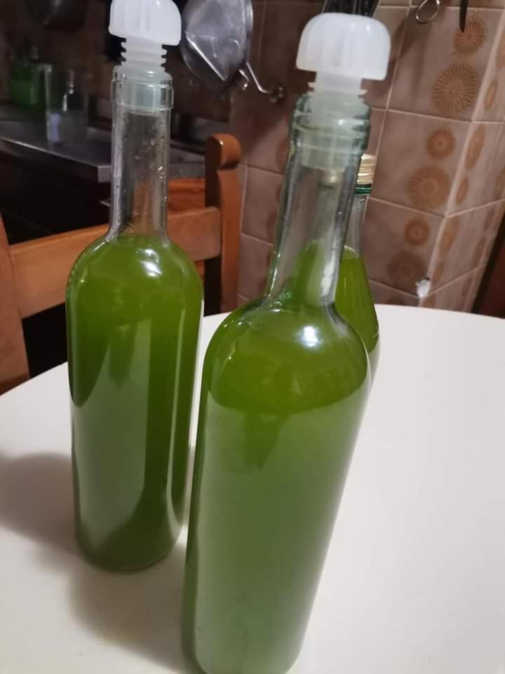 Il Punto Verde Sant'Antonio  Exterior foto