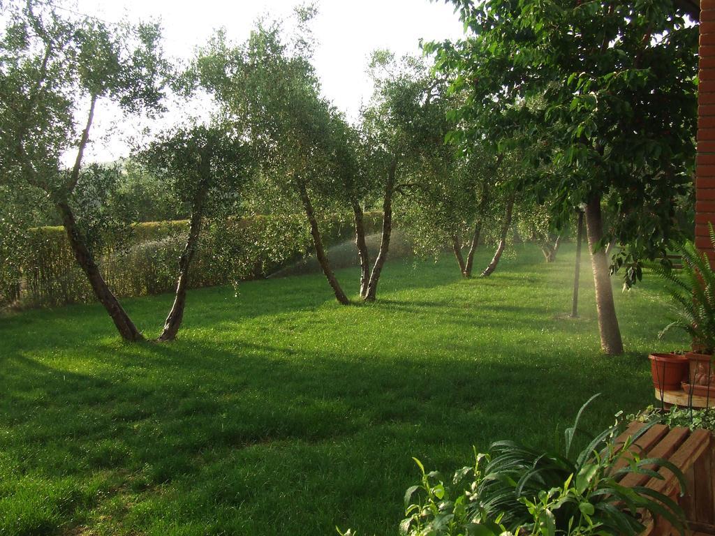 Il Punto Verde Sant'Antonio  Exterior foto