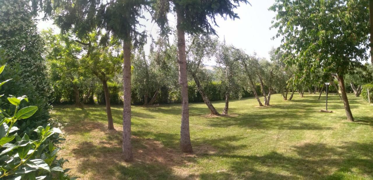 Il Punto Verde Sant'Antonio  Exterior foto